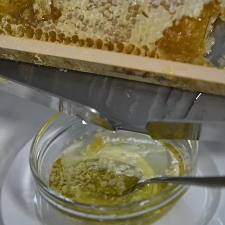 & Sasso Diano Marina